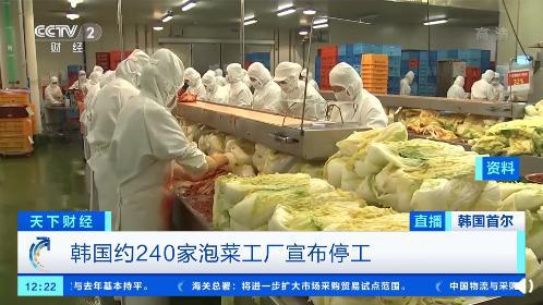 一棵白菜62元 韩国超3成泡菜工厂停工,部分经销商增加从中国进口的泡菜量