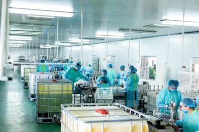 鹿邑“归雁”返乡创业潮 深耕中草药萃取与日用百货电商新篇章